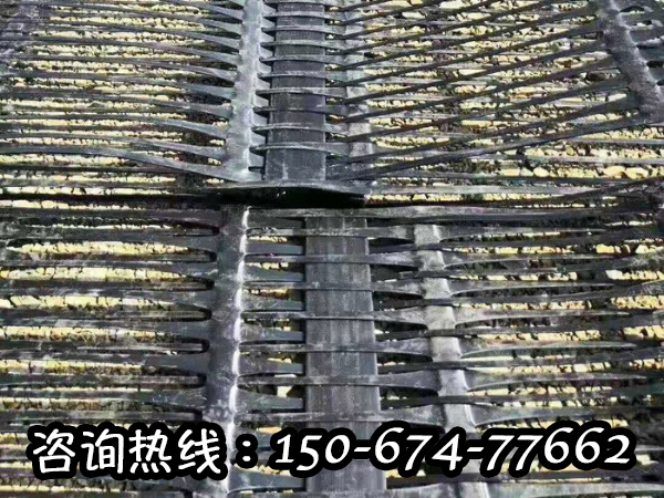 单向拉伸塑料土工格栅